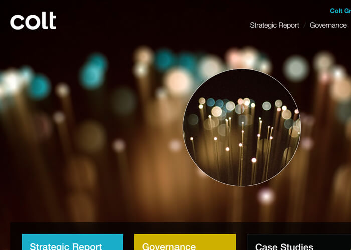 Screenshot of Colt website